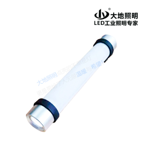 RW7088C multi-function work stick