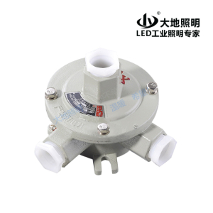 AH explosion-proof wiring box straight corner two-way hanging
