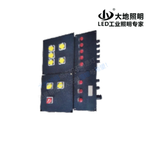 DBL explosion-proof anti-corrosion power distribution box