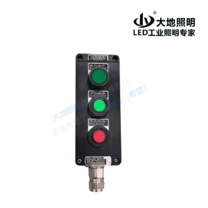 Explosion-proof anti-corrosion button