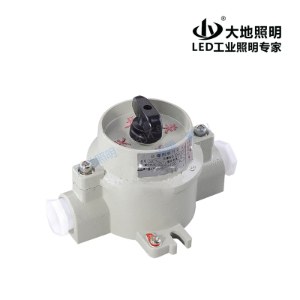 Explosion-proof lighting switch