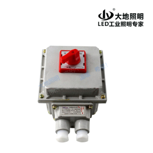 Explosion-proof switch